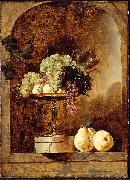 Frans Snyders Grapes, Peaches and Quinces in a Niche oil painting on canvas